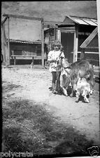 Portrait petite fille avec chèvre biquette -  ancien négatif photo an. 1930 40