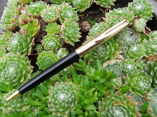 Ancien stylo bille waterman - -ancien,