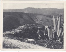 Algérie française Vue Nedroma département d'oran carte en FM Edition Baconnier