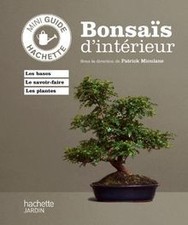 Bonsaïs dintérieur de