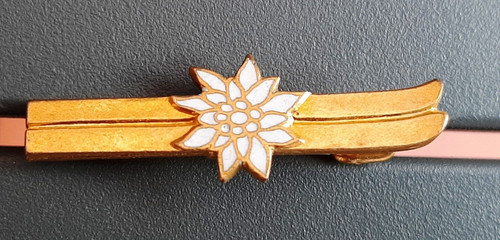 Insigne chasseurs alpins - chasseurs,