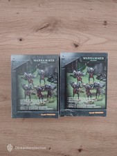 x2 Warhammer 40k Adepta Sororitas Sisters of Battle Seraphin Squad x5