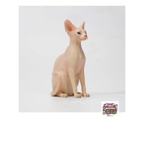 New jxk canadian hairless cat - new,