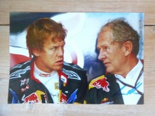 Original Dr. Helmut Marko XXL