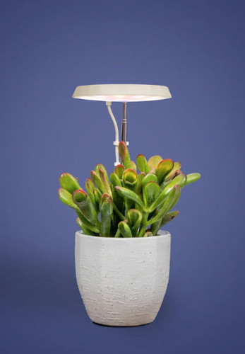 Aerogarden stem grow light - aerogarden,