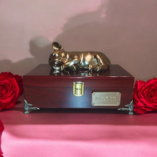 Urne/Boîte À Cendres Pour