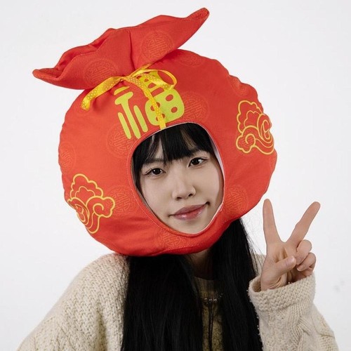 Chapeau nouvel chinois - chapeau,
