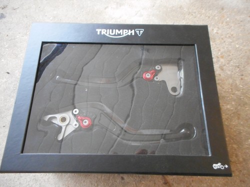 Triumph bonneville t100 - triumph,