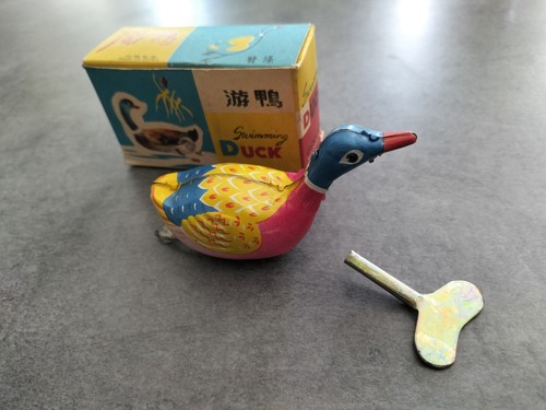 Canard swimming duck - « swimming,