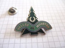 FIR VALLEE DE MUNSTER ALSACE SILVER COLOR VINTAGE LAPEL PIN BADGE us6