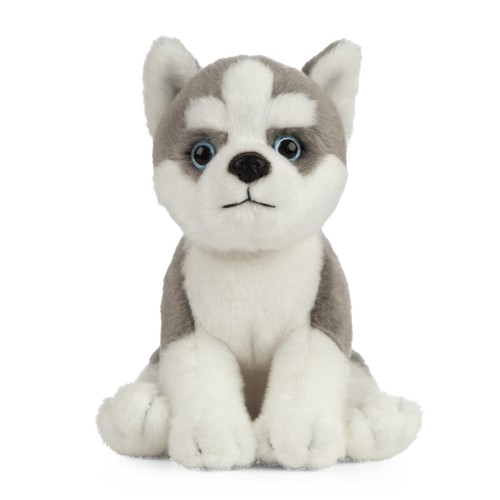 Peluche chiot husky 5529085 - husky,