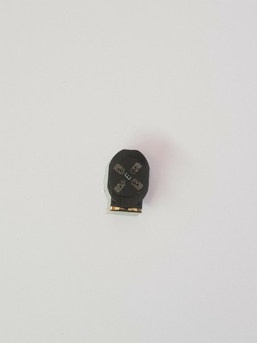 Génuine module haut parleur - module,