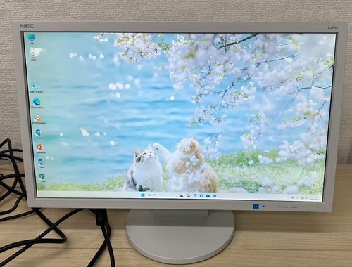 Nec l220w pouces - 21,5,