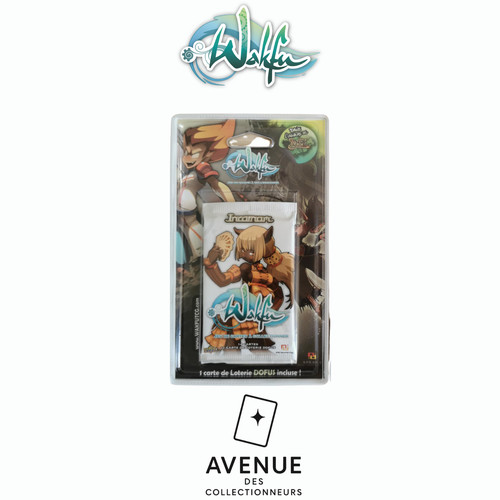 Blister cartes wakfu incarnam - cartes,