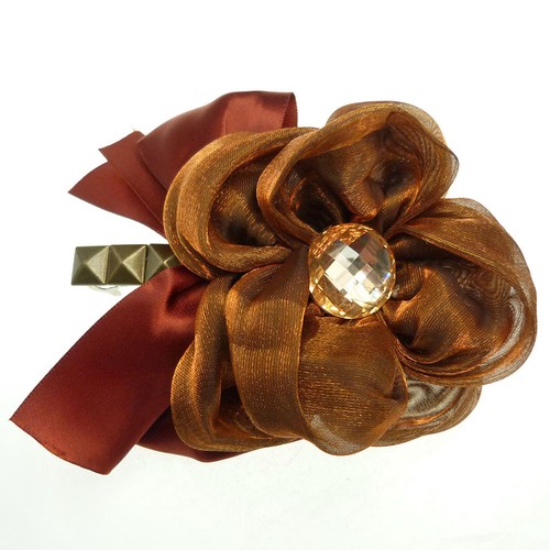 Barrette pince cheveux - pince, à