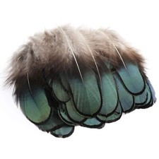 50pcs Natural Feathers Plumes