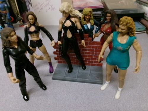 Wwe divas figure - wwe,