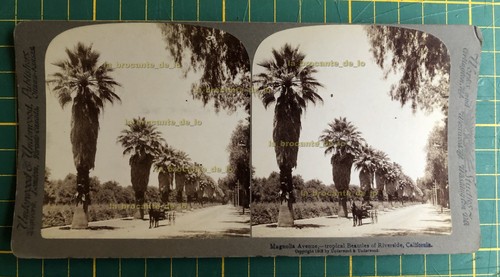 Carte photo stéréo underwood - carte,