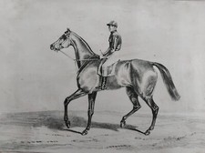 CHEVAL JOCKEY ANGLAIS
