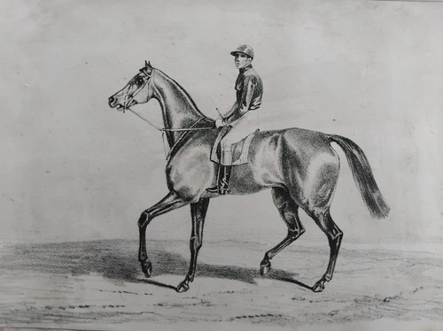 Cheval jockey anglais - cheval,