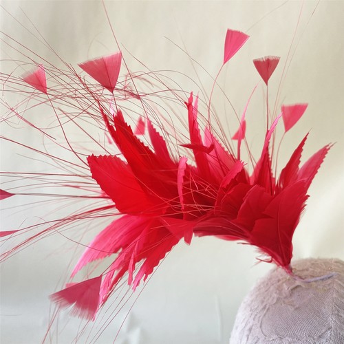 Chapeau fascinateur plumes - fascinateur, en