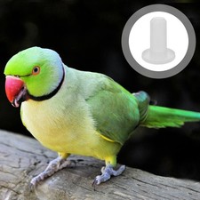  Abreuvoir Pour Poule Mangeoire Automatique Volailles Buveur En Plastique