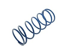 Contraste printemps Polini