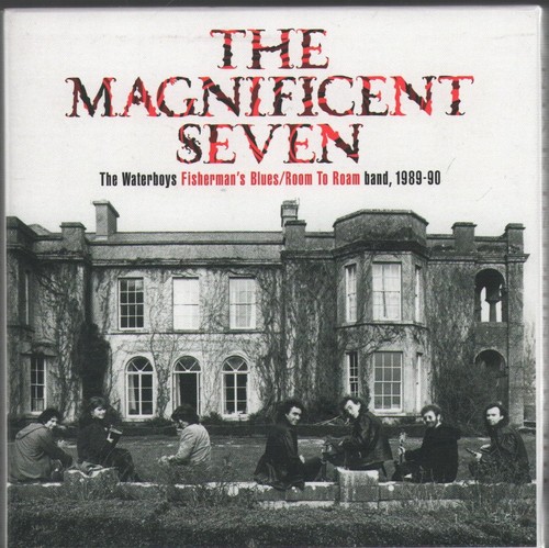 The waterboys magnificent - the,