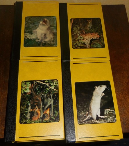 Lot livres yves yvonne - yves,