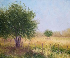 Tableau huile sur toile - Champ et arbre en été - Paysage