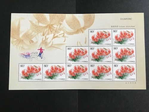 China small sheet lilium set - sheet,
