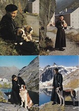 Lot de 4 cartes postales