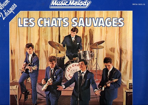 Les chats sauvages - chats,