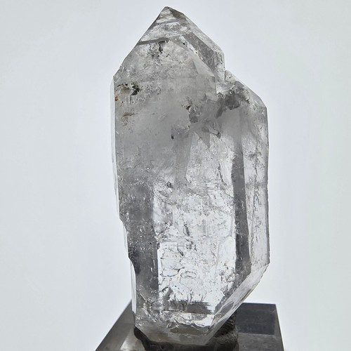 Sceptre poche - sceptre, de