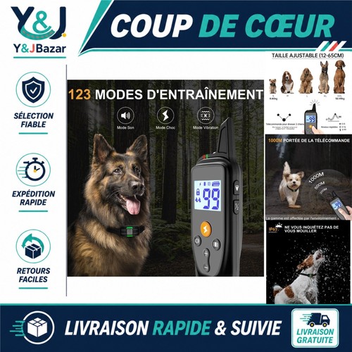 Collier dressage chien - collier,