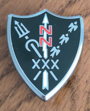 Insigne Militaire 30° Escadre