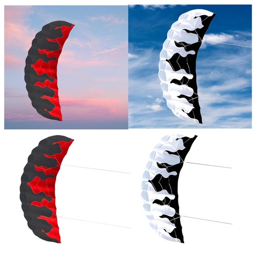 Cerf volant parafoil - cerf-volant, m