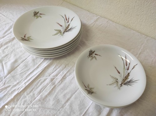 Assiettes plates et 2 - , 6