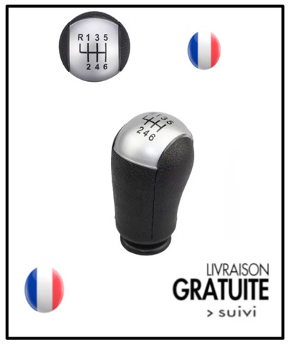 Pommeau levier vitesses pour - 6,