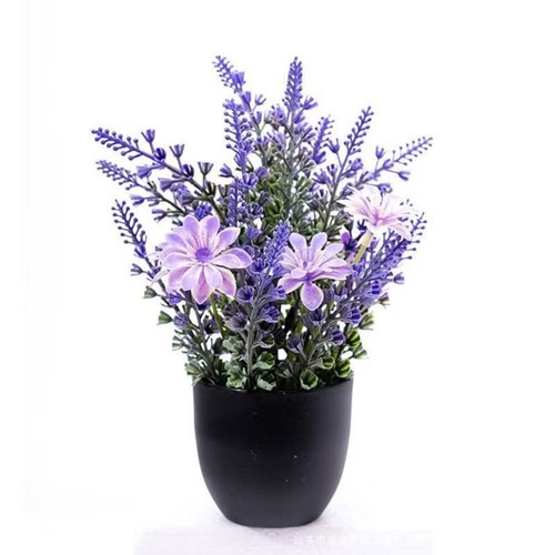 Fausse plantes - fausse,
