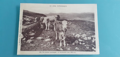 Jura pittoresque pleine - pittoresque, en