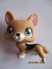 PETSHOP CHIEN CORGI N°639 /