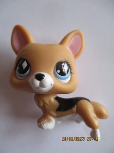 Petshop chien corgi 639 - petshop,
