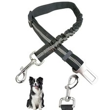 Ceinture Chien Voiture