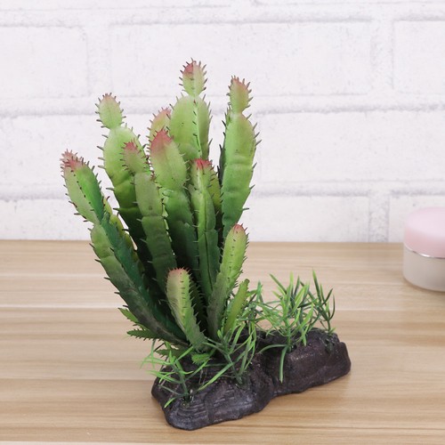 Décor terrarium simulé - décor,