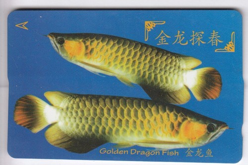 Asie telecarte phonecard - phonecard,