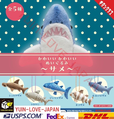 Joli requin - joli,
