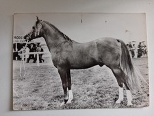 CPSM PHOTO PUBLICITAIRE