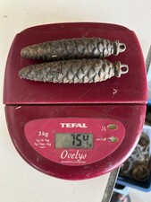 Ancienne Paire De poids pendule horloge Coucou forêt noire