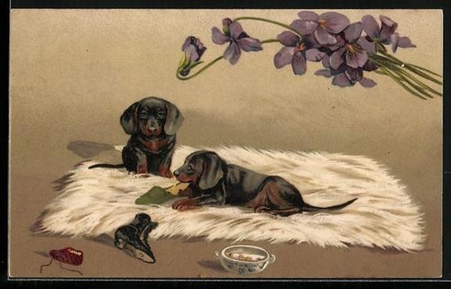 Carte postale chiots teckels